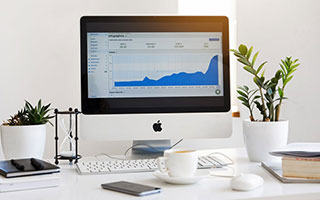 乐鱼中国：让海洋娱乐走进日常生活的创新平台